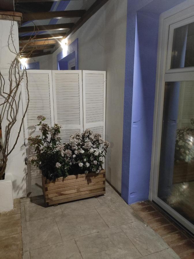 Atenea Apartamento *