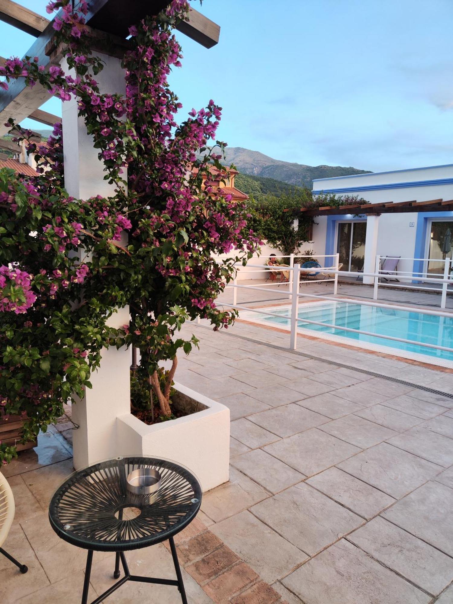 Apartamento Atenea Jerte